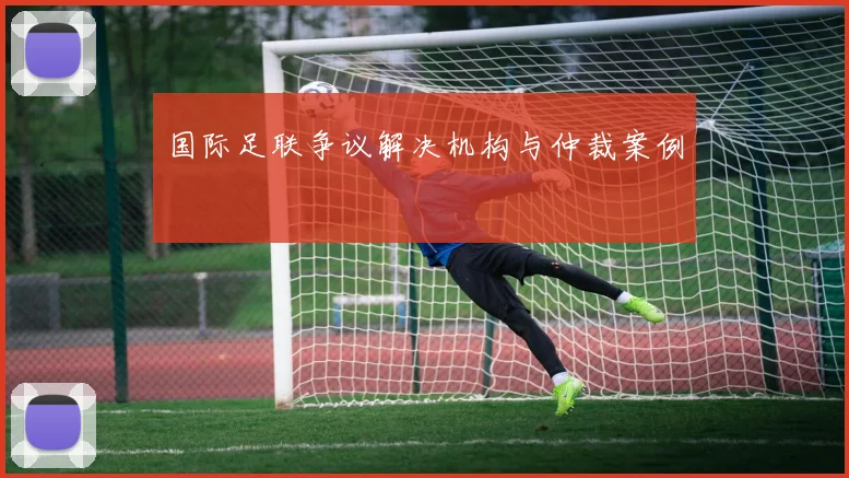 国际足联争议解决机构与仲裁案例