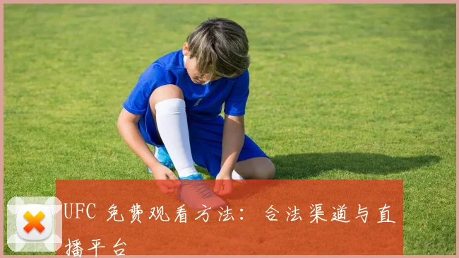 UFC 免费观看方法:合法渠道与直播平台